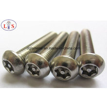 Stainless Steel 304 Bolt/Anti-Theft Bolt/Bolt with High Strength